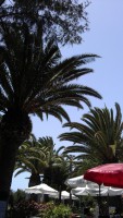 Fuerteventura